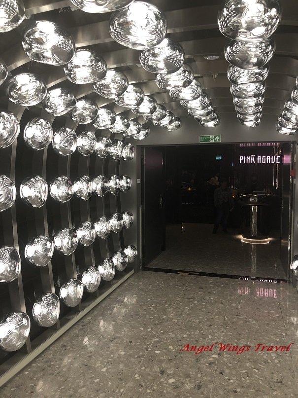 AWT Scarlet Lady Pink Agave.jpg